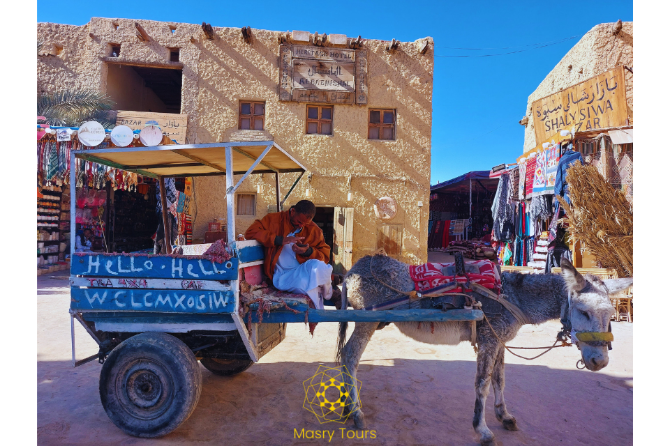 Magisches Siwa erleben: 5 Tage, 4 Nächte Wüste, Kultur und Erholung
