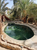 7-Day Yoga & Healing Retreat in Siwa Oasis, Egypt