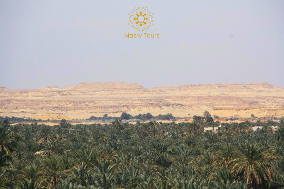 Magisches Siwa erleben: 5 Tage, 4 Nächte Wüste, Kultur und Erholung