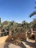 7-Day Yoga & Healing Retreat in Siwa Oasis, Egypt