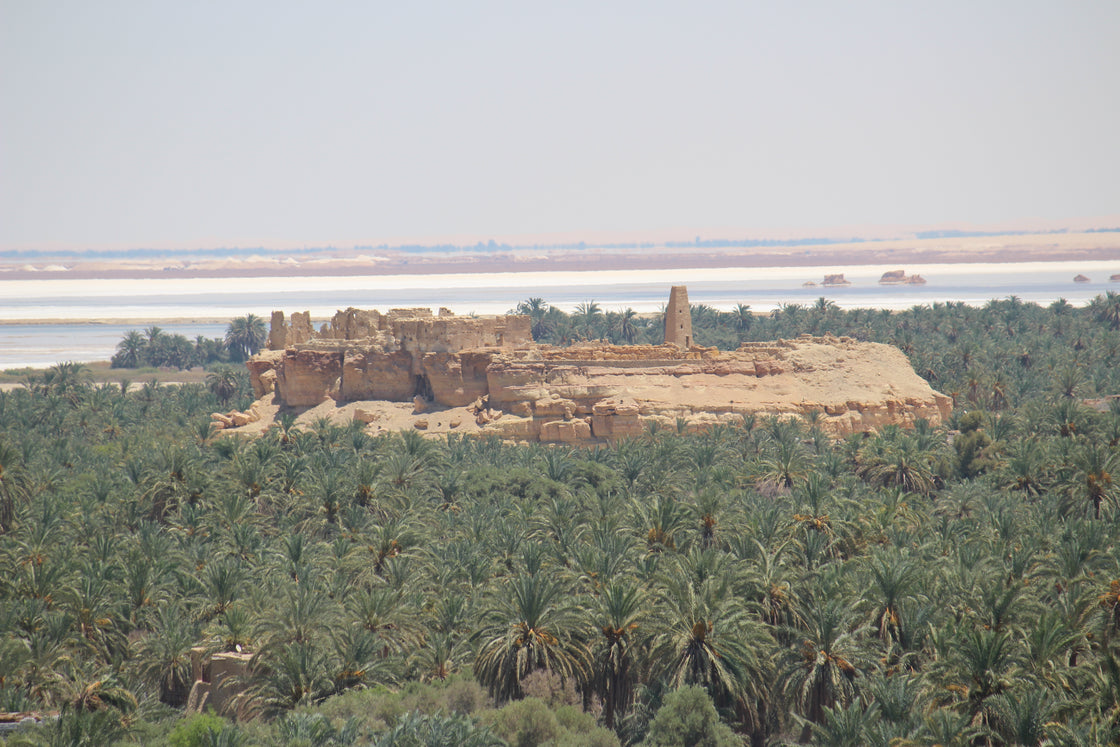 7-Day Yoga & Healing Retreat in Siwa Oasis, Egypt