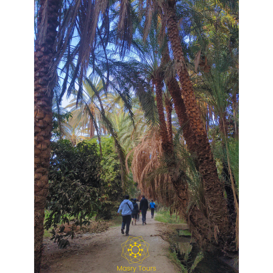 An unforgettable 10-day journey through Luxor, Aswan, the Nile, and the Red Sea – Culture, Nature &amp; Authentic Encounters