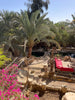 7-Day Yoga & Healing Retreat in Siwa Oasis, Egypt