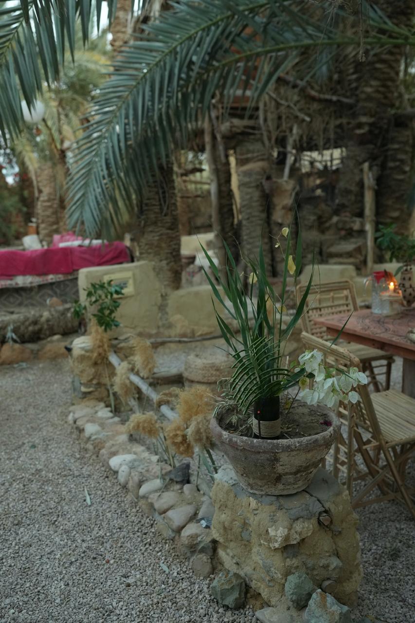 7-Day Yoga & Healing Retreat in Siwa Oasis, Egypt