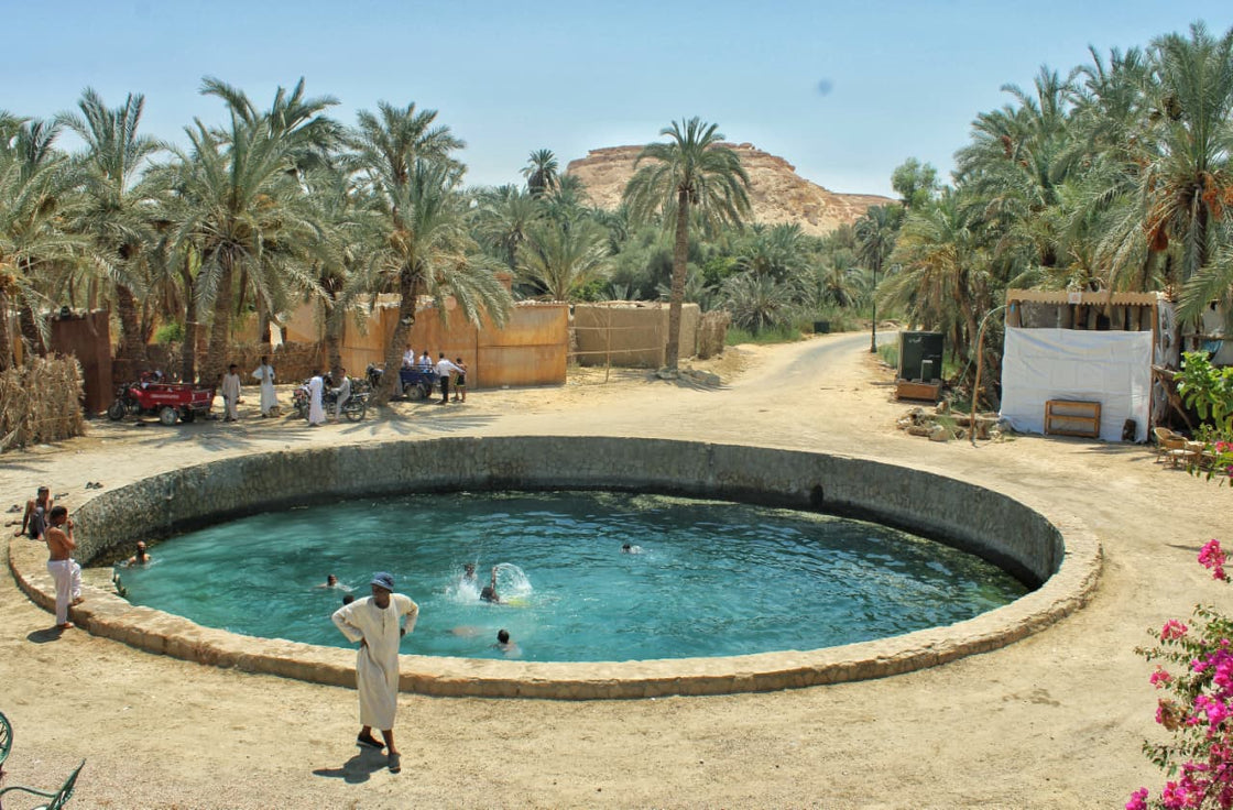 7-Day Yoga & Healing Retreat in Siwa Oasis, Egypt