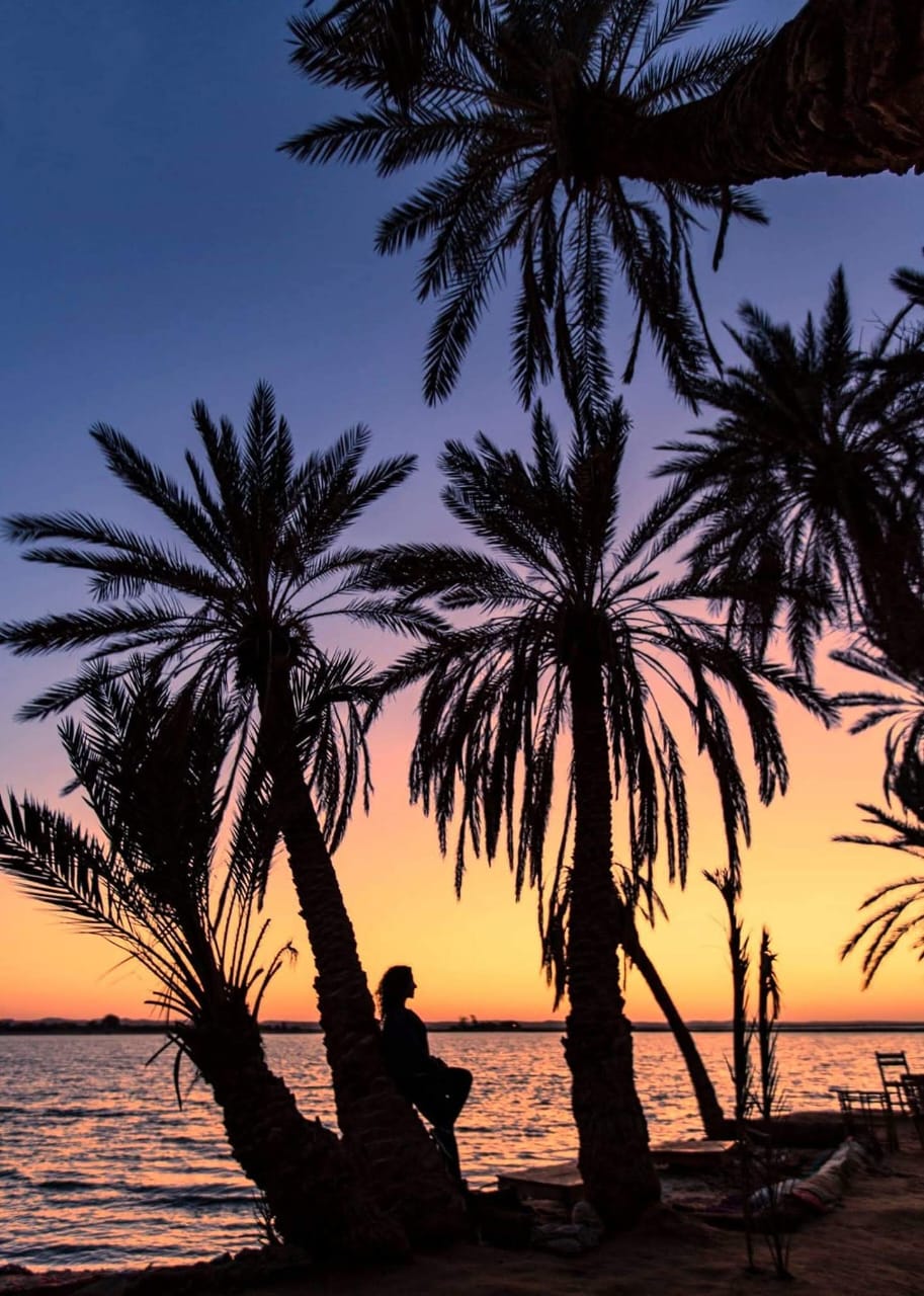 7-Day Yoga & Healing Retreat in Siwa Oasis, Egypt