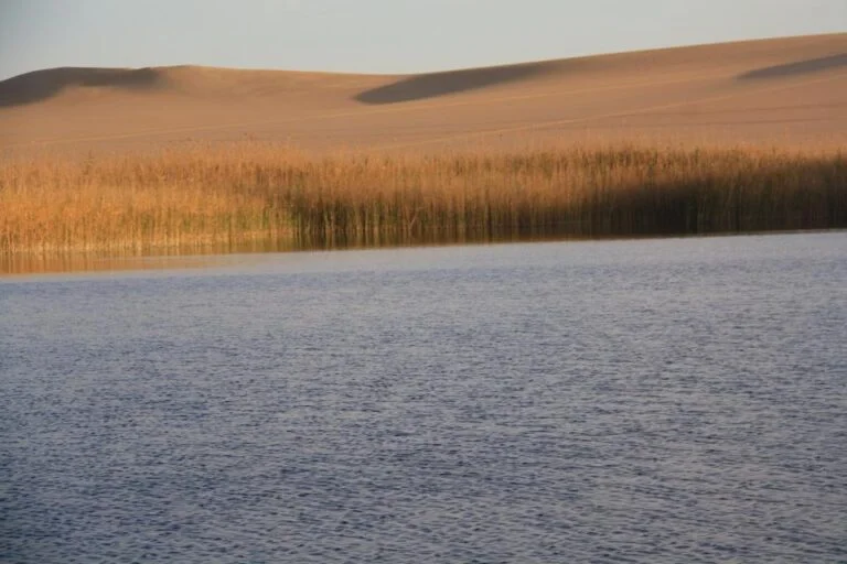Impression zu Siwa Oasis Retreat 2027