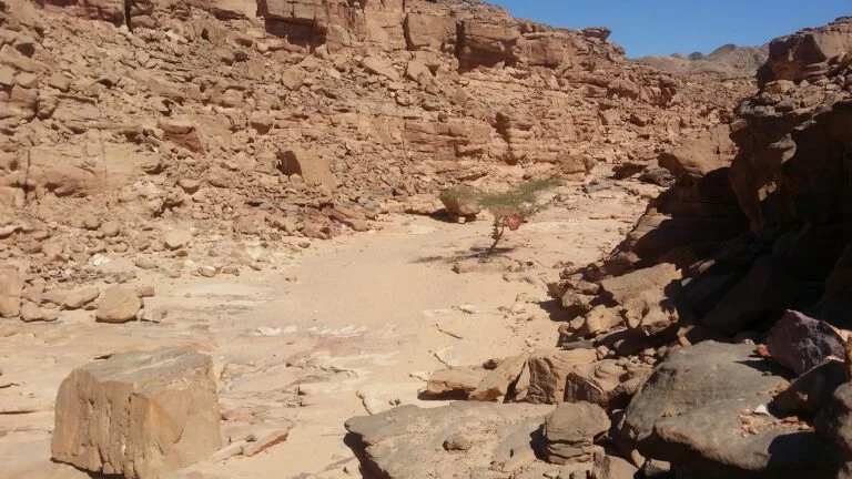 Impression zu Sinai zwischen Meer, Bergen und Wüste