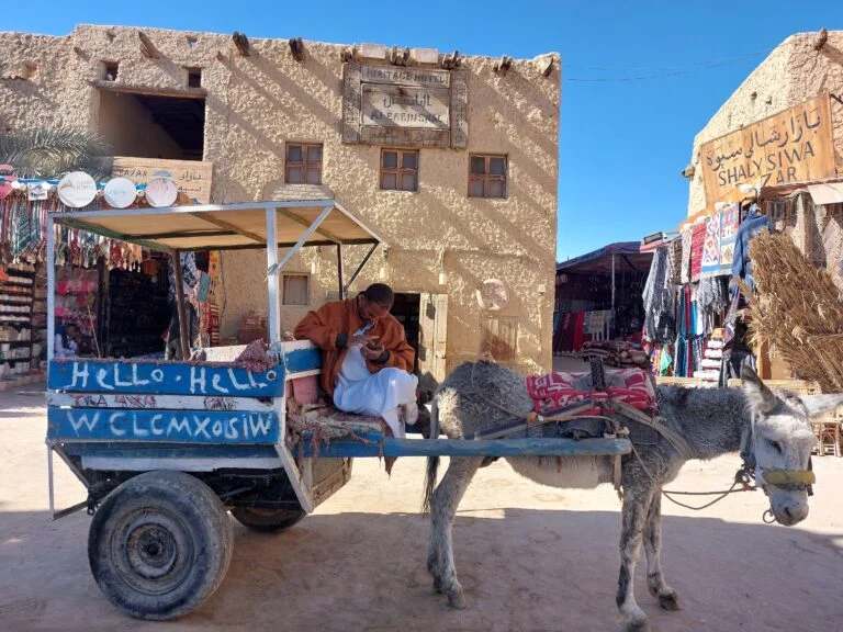 Impression zu Siwa Oasis Retreat 2027