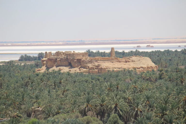 Impression zu Siwa Oasis Retreat 2027