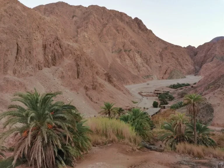 Impression zu Sinai zwischen Meer, Bergen und Wüste
