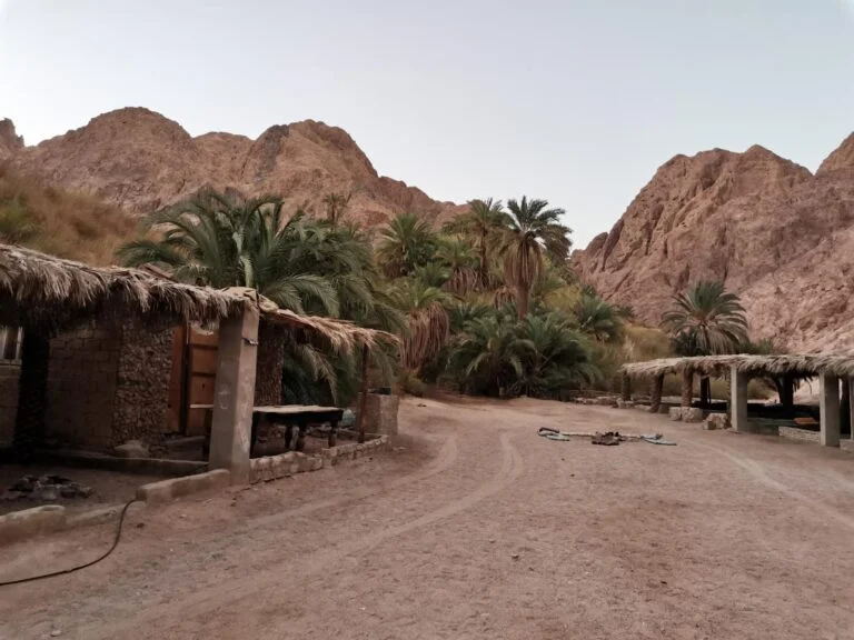 Impression zu Sinai zwischen Meer, Bergen und Wüste