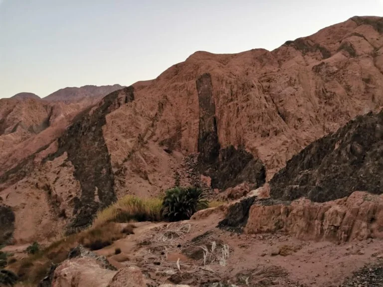 Impression zu Sinai zwischen Meer, Bergen und Wüste