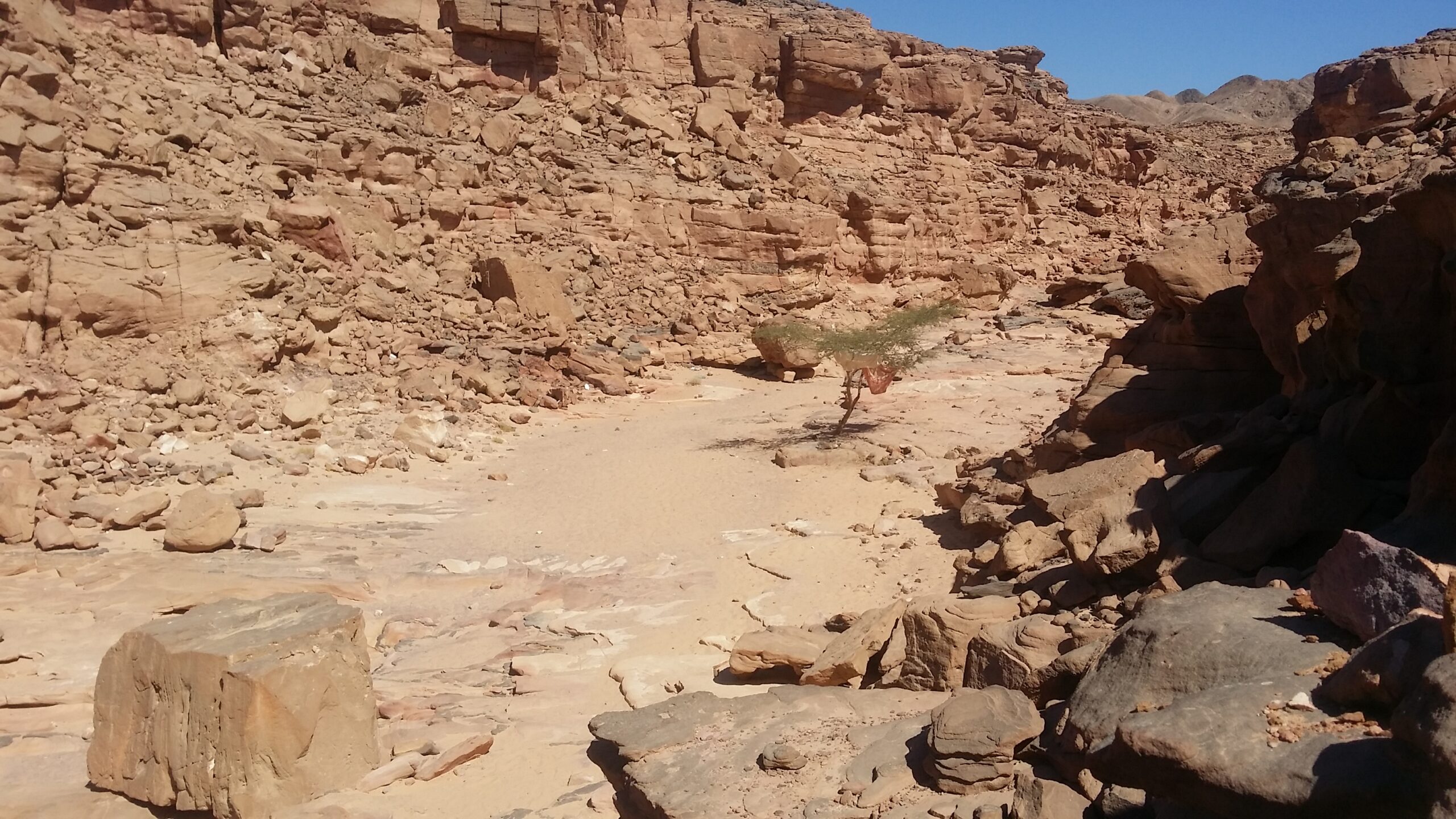 Impression zu Sinai zwischen Meer, Bergen und Wüste
