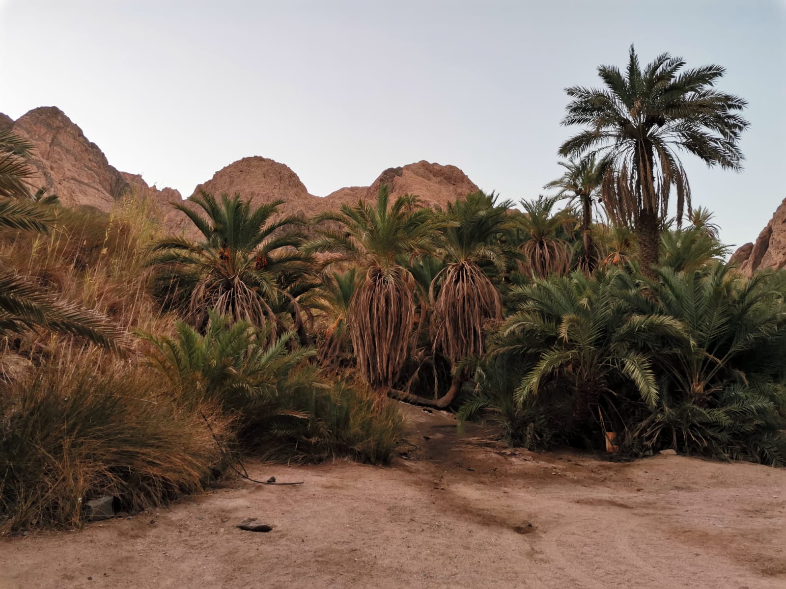 Impression zu Sinai zwischen Meer, Bergen und Wüste