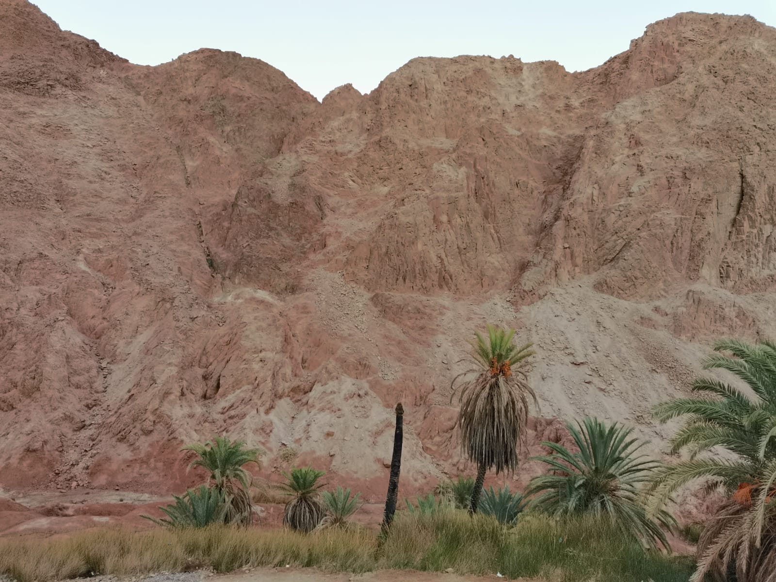 Impression zu Sinai zwischen Meer, Bergen und Wüste