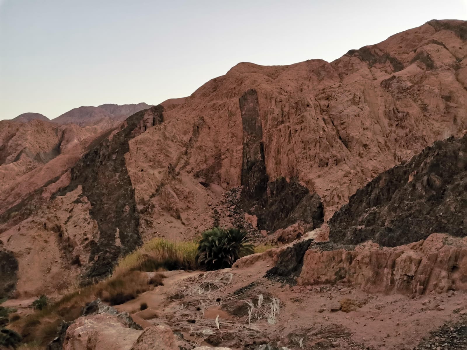 Impression zu Sinai zwischen Meer, Bergen und Wüste